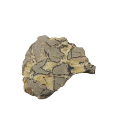 Base Septarian