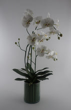 Cargar imagen en el visor de la galería, Orquideas Blancas en Florero