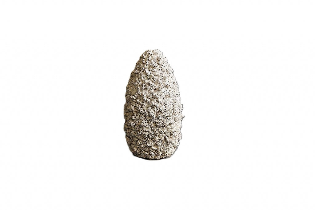 Florero Alta Barnacle