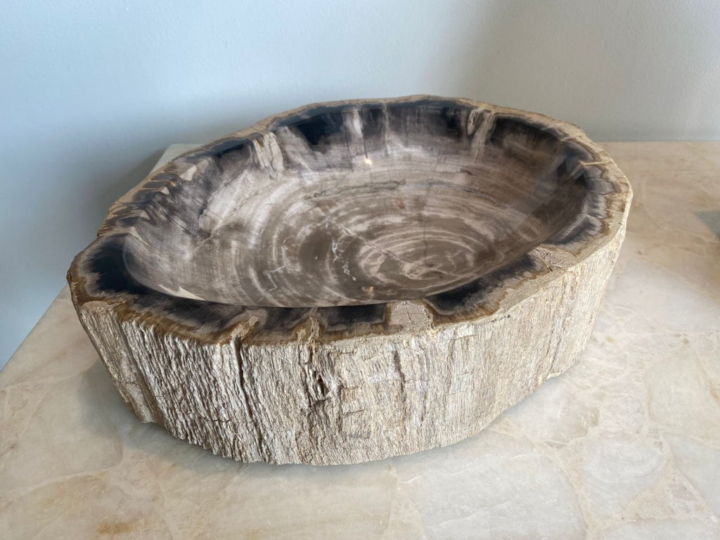 Bowl Madera Patrificada Mediano