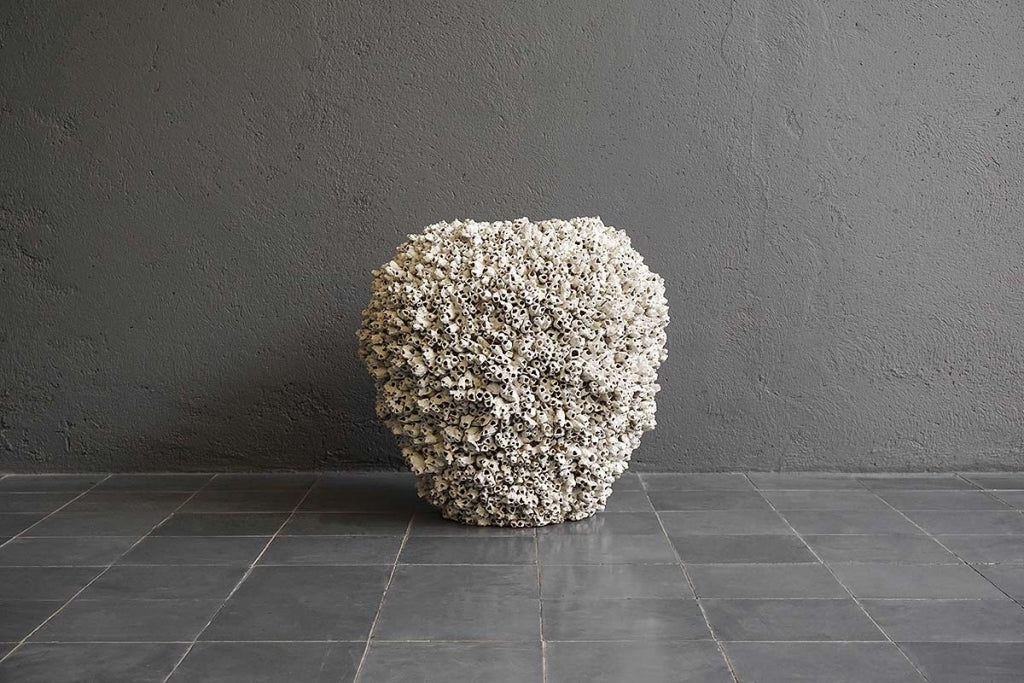 Florero Barnacle Sin Bordes Chico