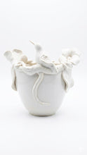 Cargar imagen en el visor de la galería, Bowl/ Maceta Blanca Colibri