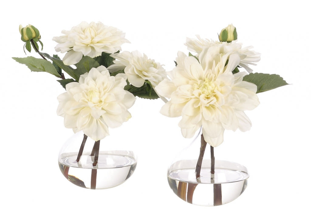 Flor Dahlia Blanca
