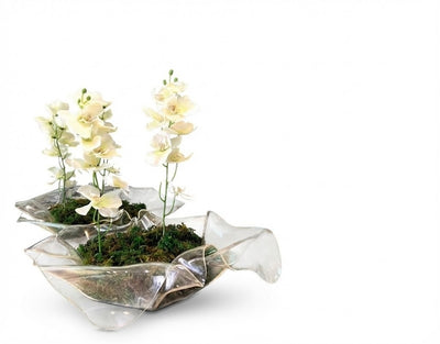 Bowl Irregular Grande